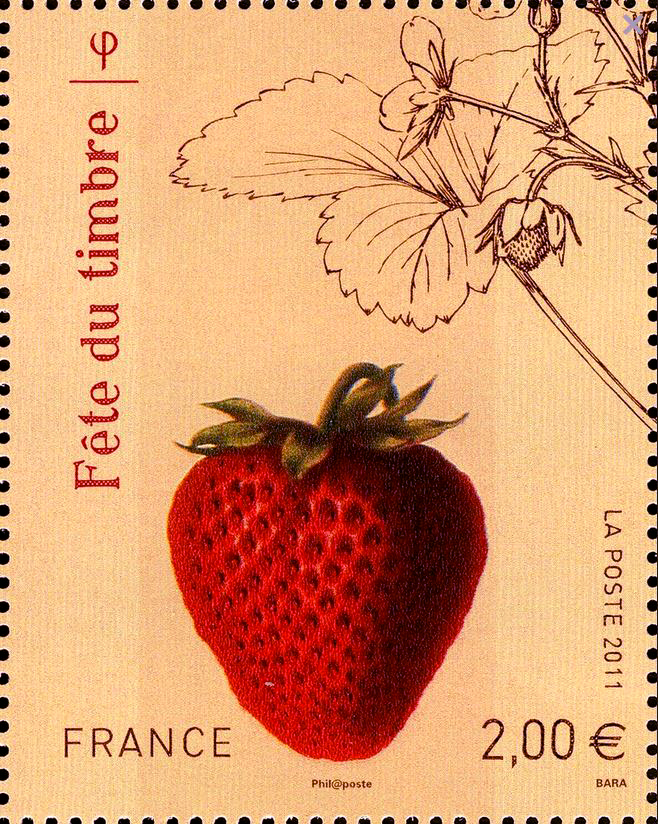 Frankreich Erdbeere